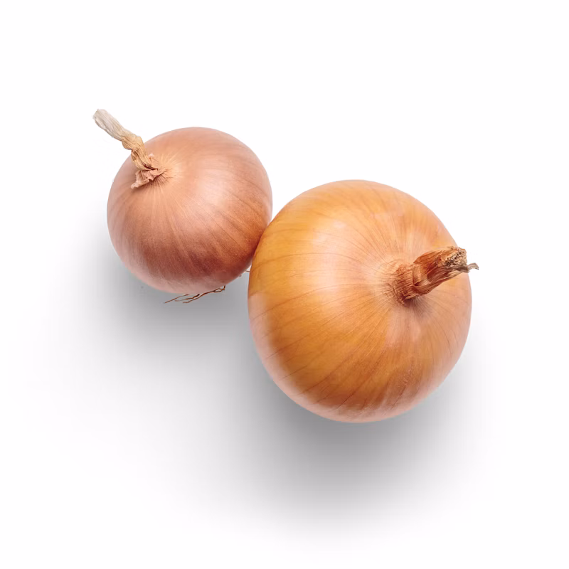 Molho de Tomate (340g)